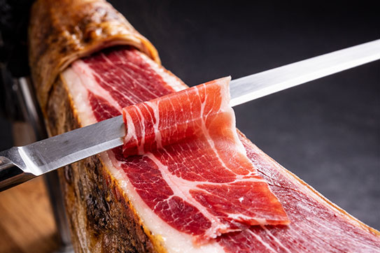 Ib&eacute;rico Ecol&oacute;gico